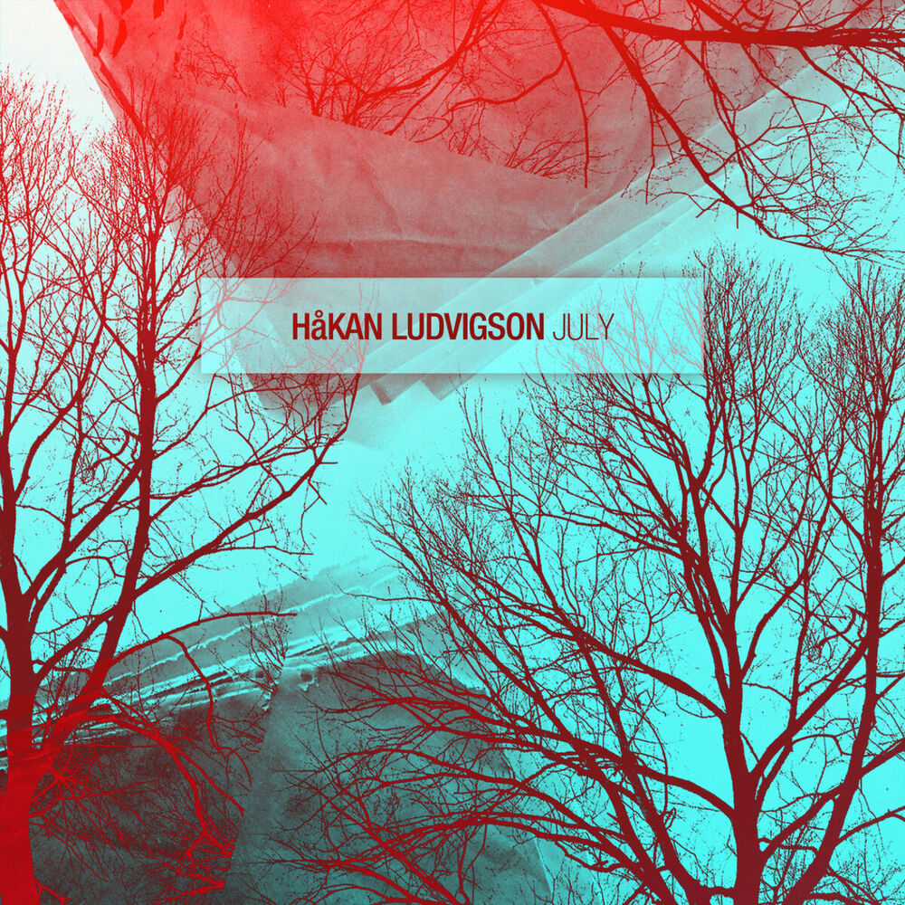 Picture of Hakan Ludvigson