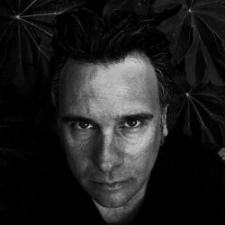 Picture of David Fenech