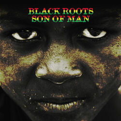Picture of Black Roots