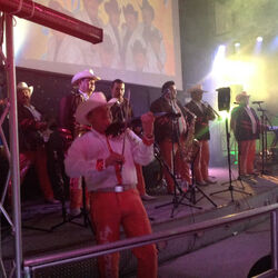 Picture of La Concentracion