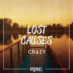 Picture of Lost Causes