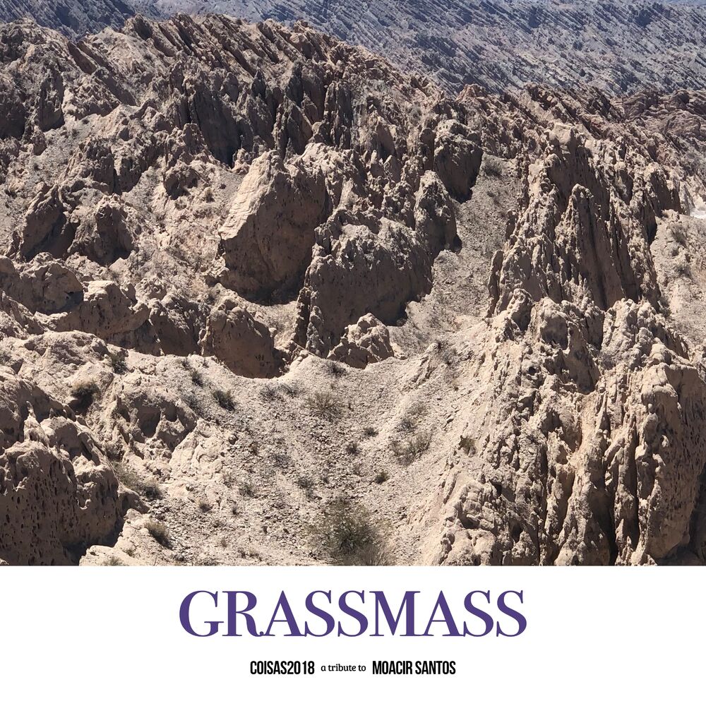 Picture of Grassmass