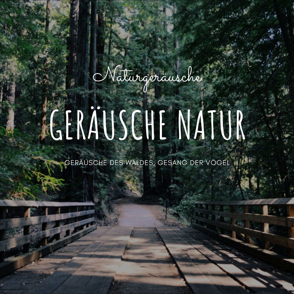 Picture of Gewitter Naturgeräusche Entspannungsmusik