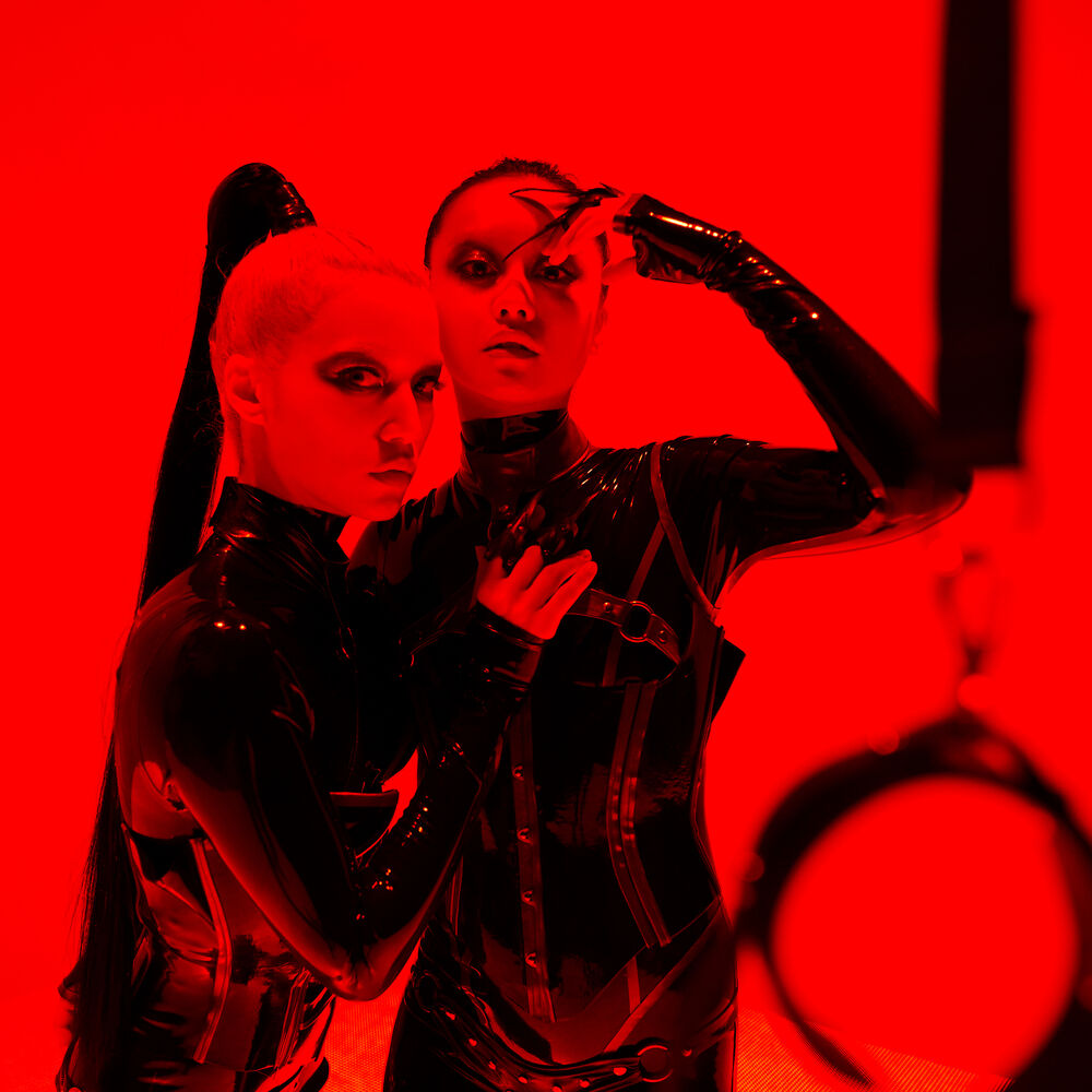 Picture of Femm