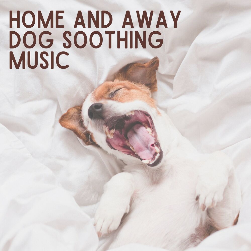 Picture of Calming Music For Pets