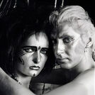 The Creatures