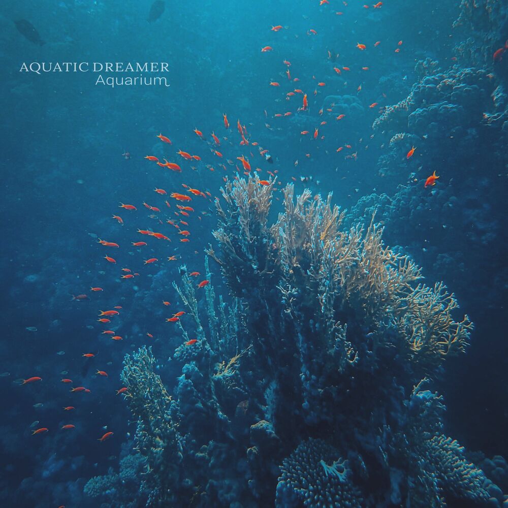Picture of Aquatic Dreamer