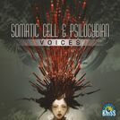 Somatic Cell