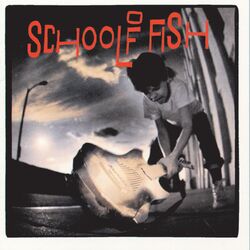 Picture of School Of Fish