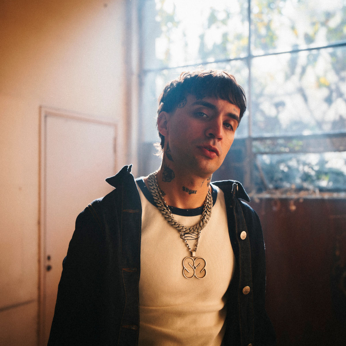 Artist picture of Mike Southside