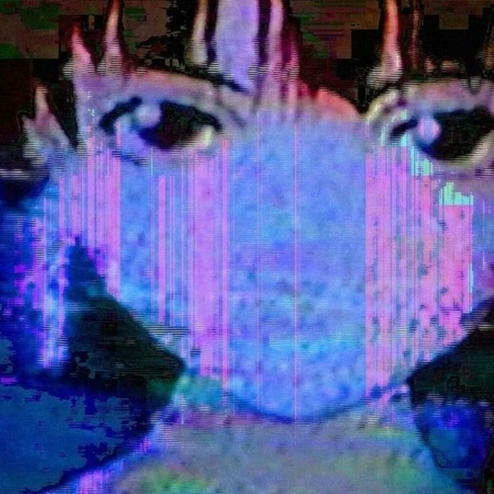 Picture of RFM Beats