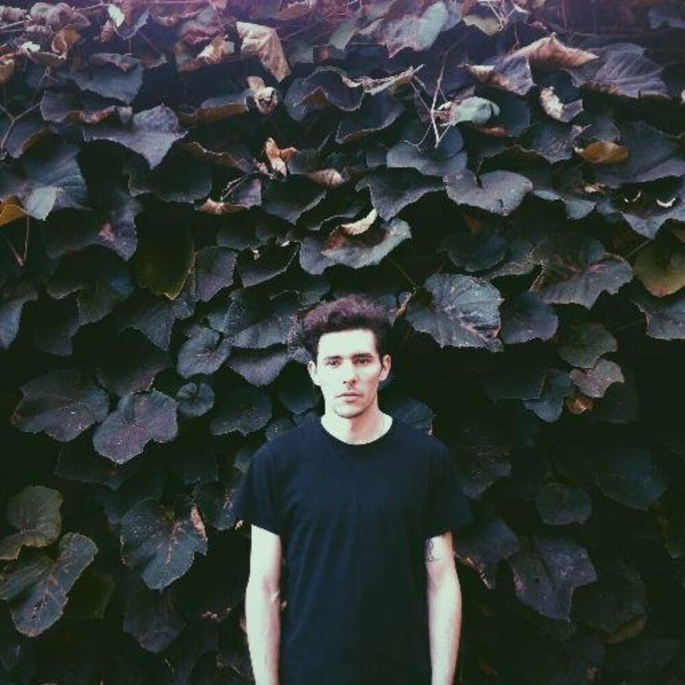 Picture of Tropics