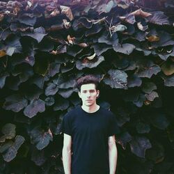 Picture of Tropics