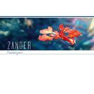 Zander