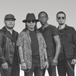 Picture of Diablos Negros