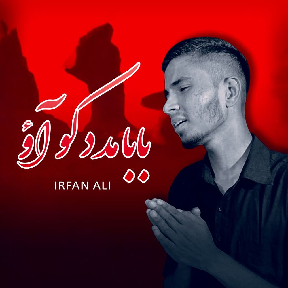 Picture of Irfan Ali