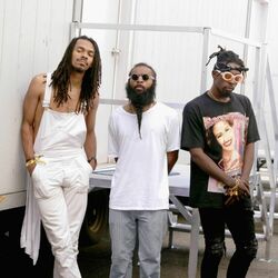 Picture of Flatbush Zombies