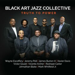 Picture of Black Art Jazz Collective