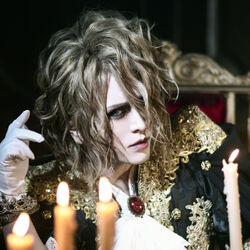 Picture of KAMIJO