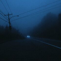 Picture of LMNL