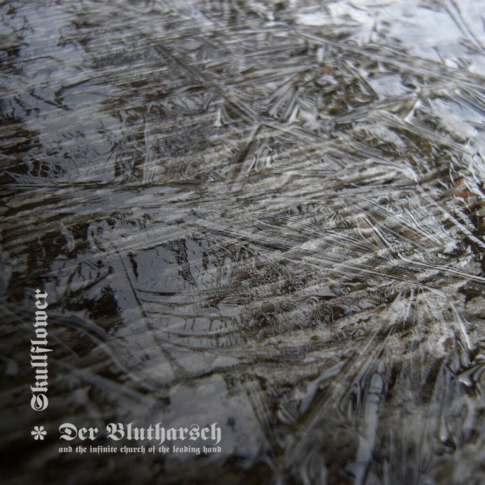 Picture of Der Blutharsch And The Infinite Church Of The Leading Hand