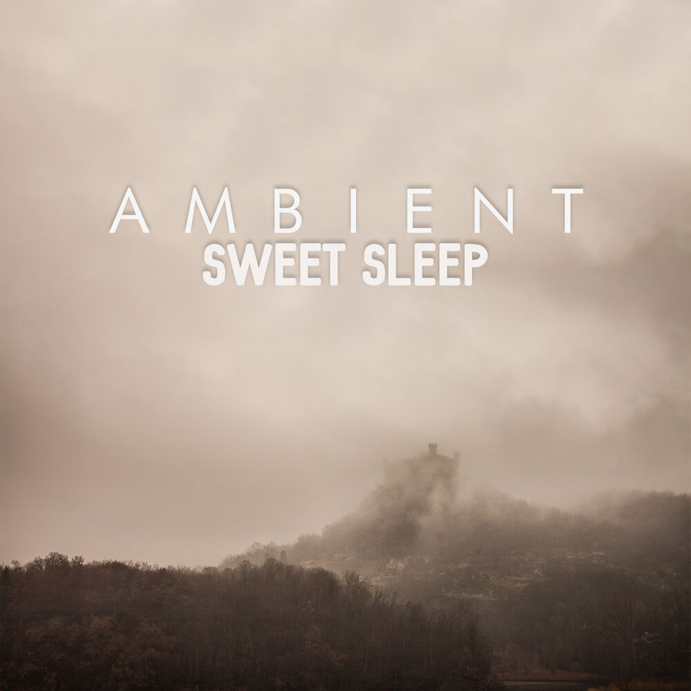 Picture of Ambient Music Sleep Therapy