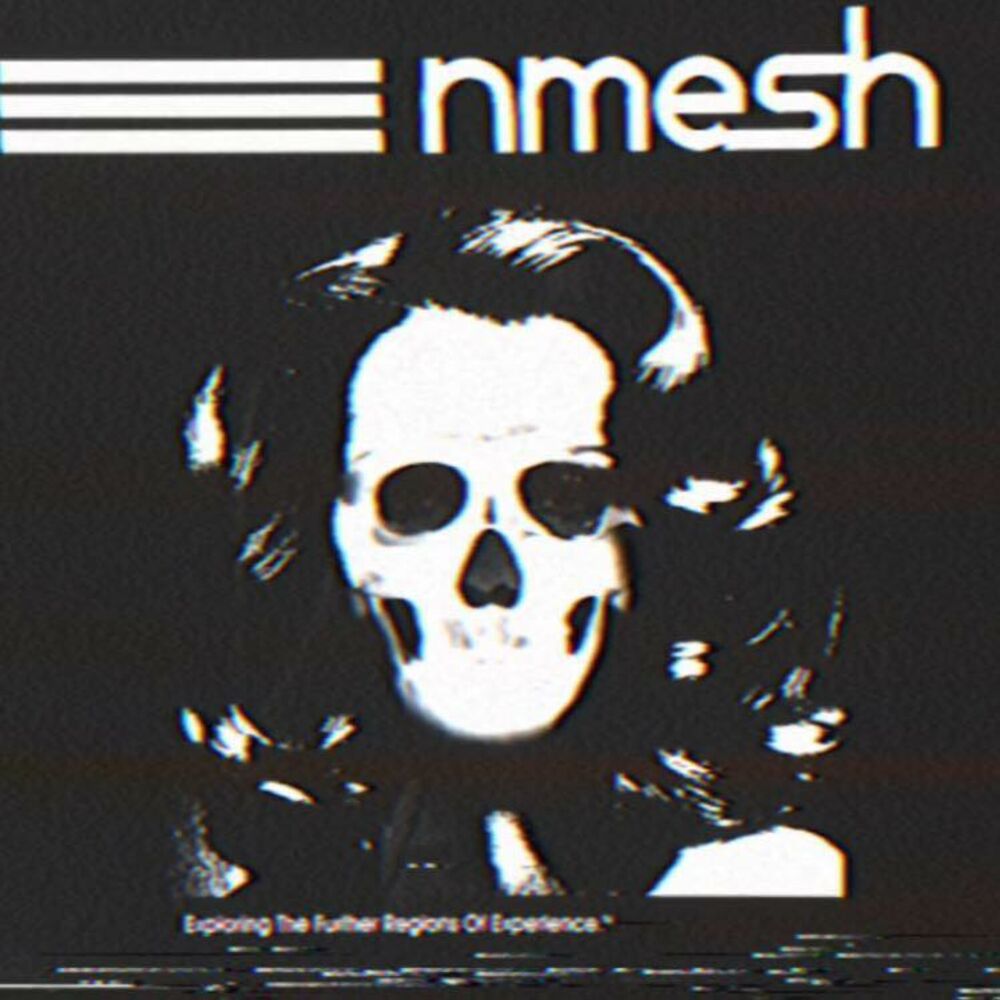 Picture of Nmesh