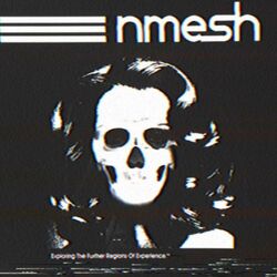 Picture of Nmesh