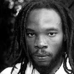 Picture of Bushman