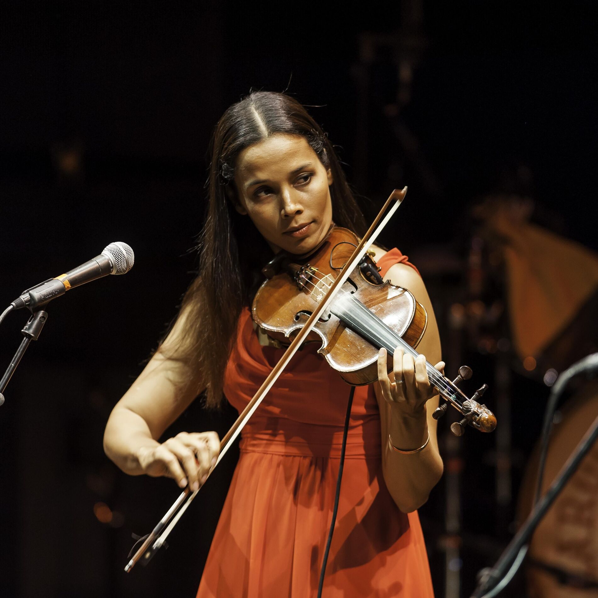 Artist picture of Carolina Chocolate Drops