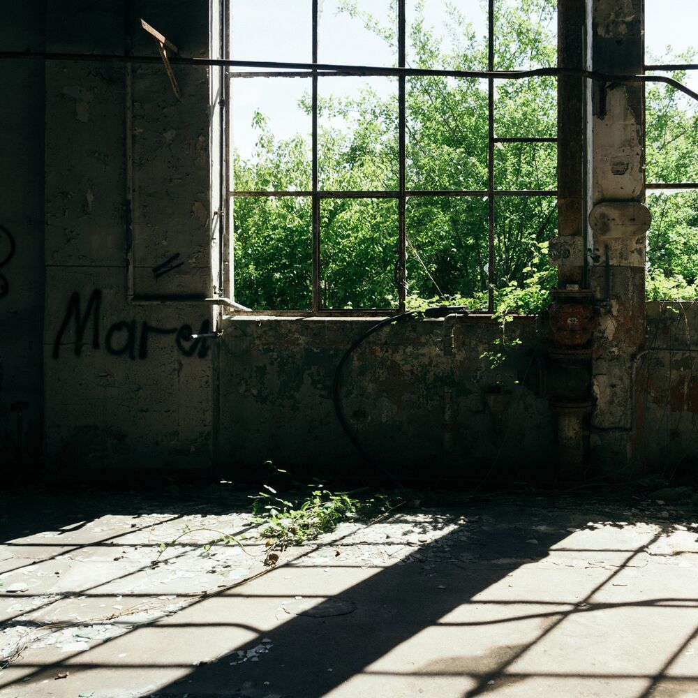 Picture of Reve
