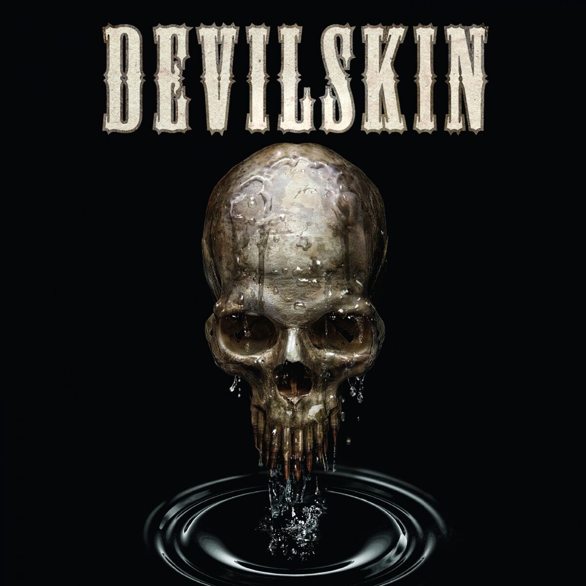 Artist picture of Devilskin