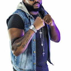 Picture of CORVINA DJ