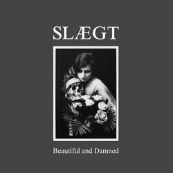 Picture of Slaegt