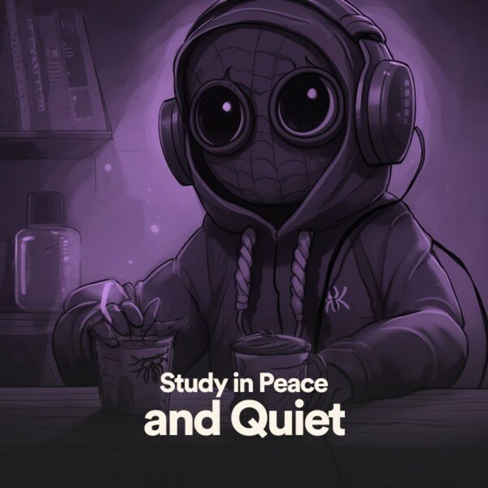 Picture of Insomnia Relief Music
