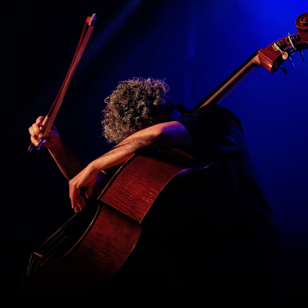 Picture of Renaud Garcia-Fons