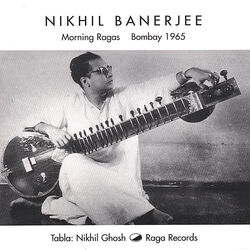 Picture of Nikhil Banerjee