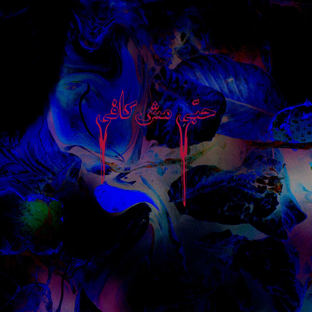 Photo de l'artiste Haykal