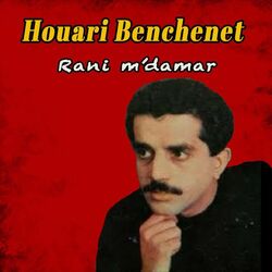 Picture of Houari Benchenet