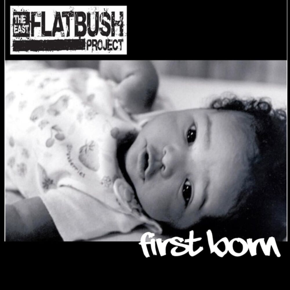 Picture of The east flatbush project