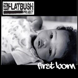 Picture of The east flatbush project