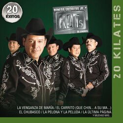 Picture of Homero Guerrero Jr. Y Los KDT´s De Linares