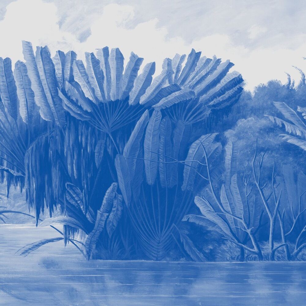 Picture of Xique-Xique