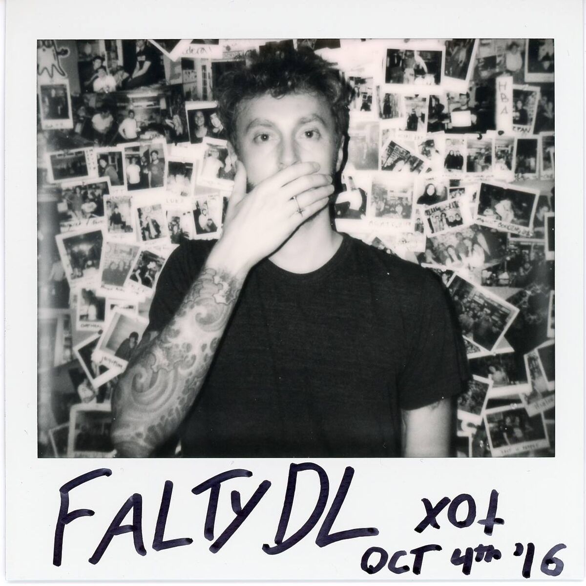 FaltyDL