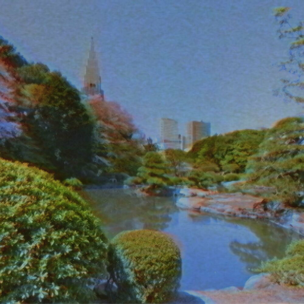 Picture of 猫 シ Corp.