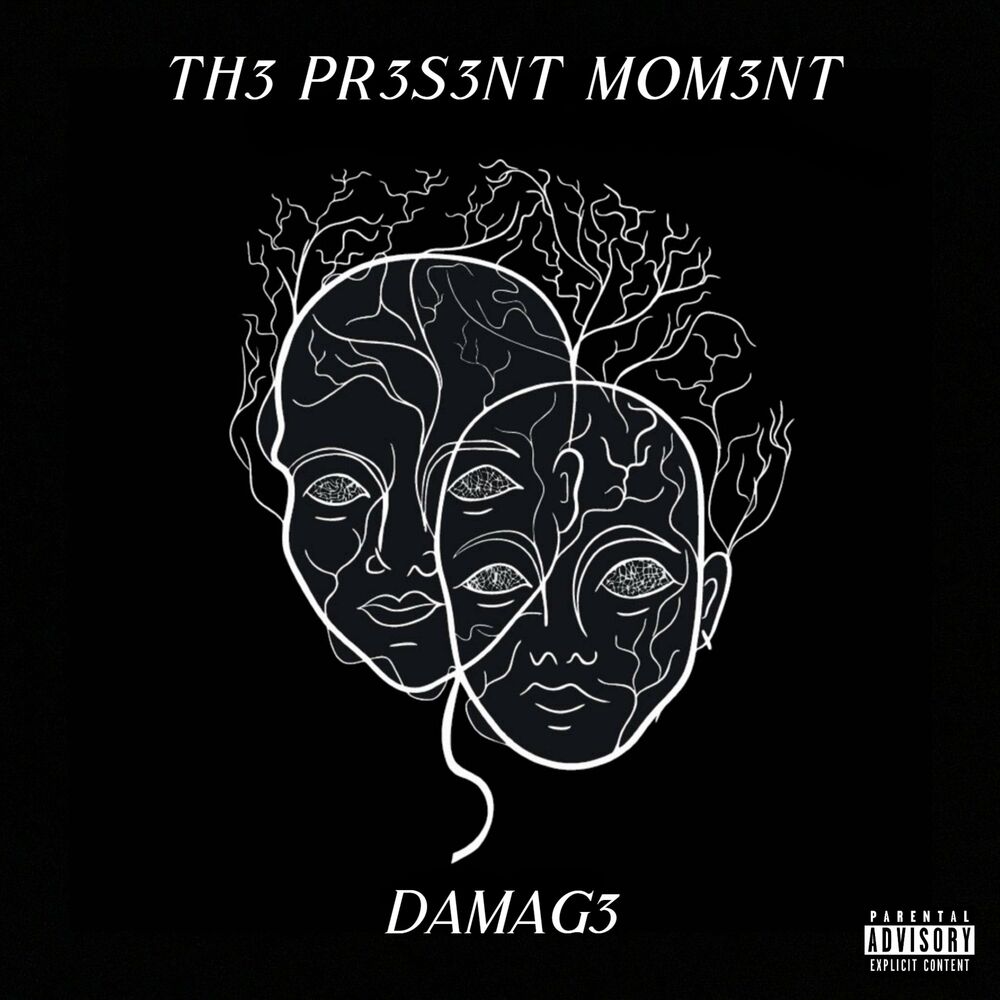Picture of DAMAG3