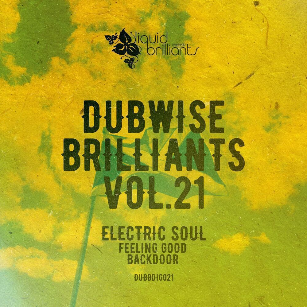 Picture of Electric Soul