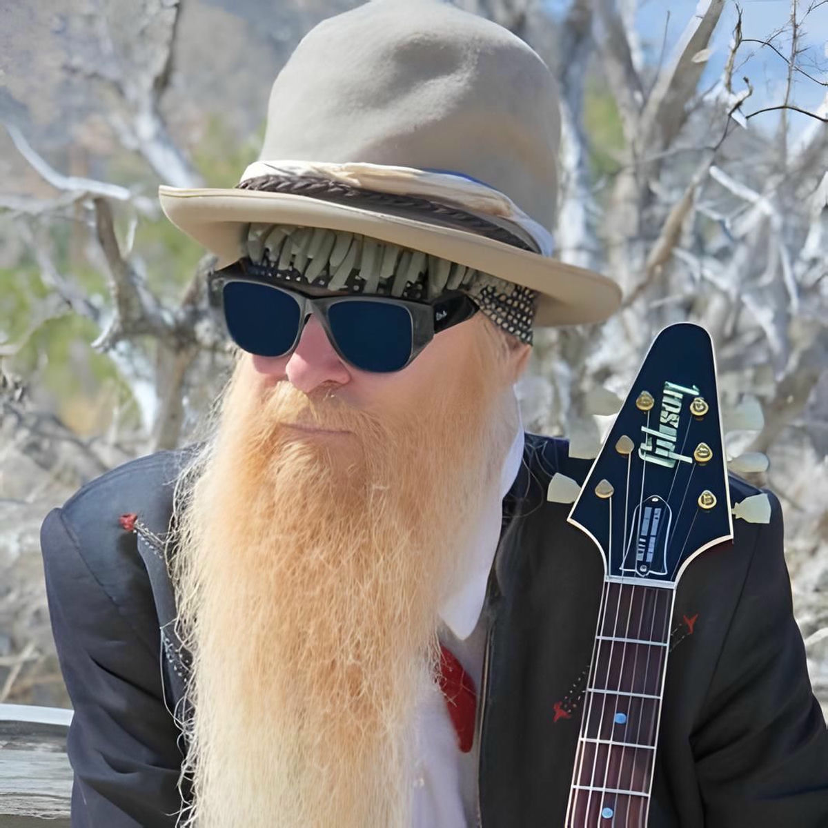 Billy F Gibbons
