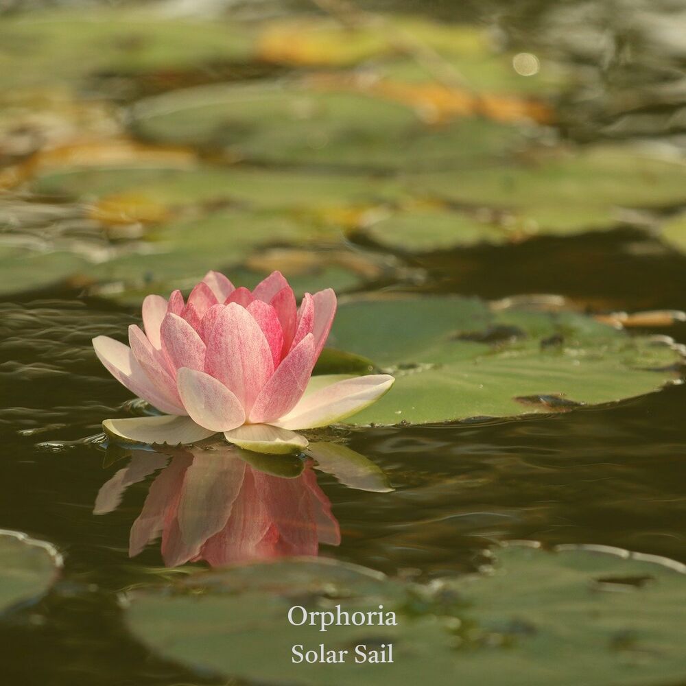 Picture of Orphoria