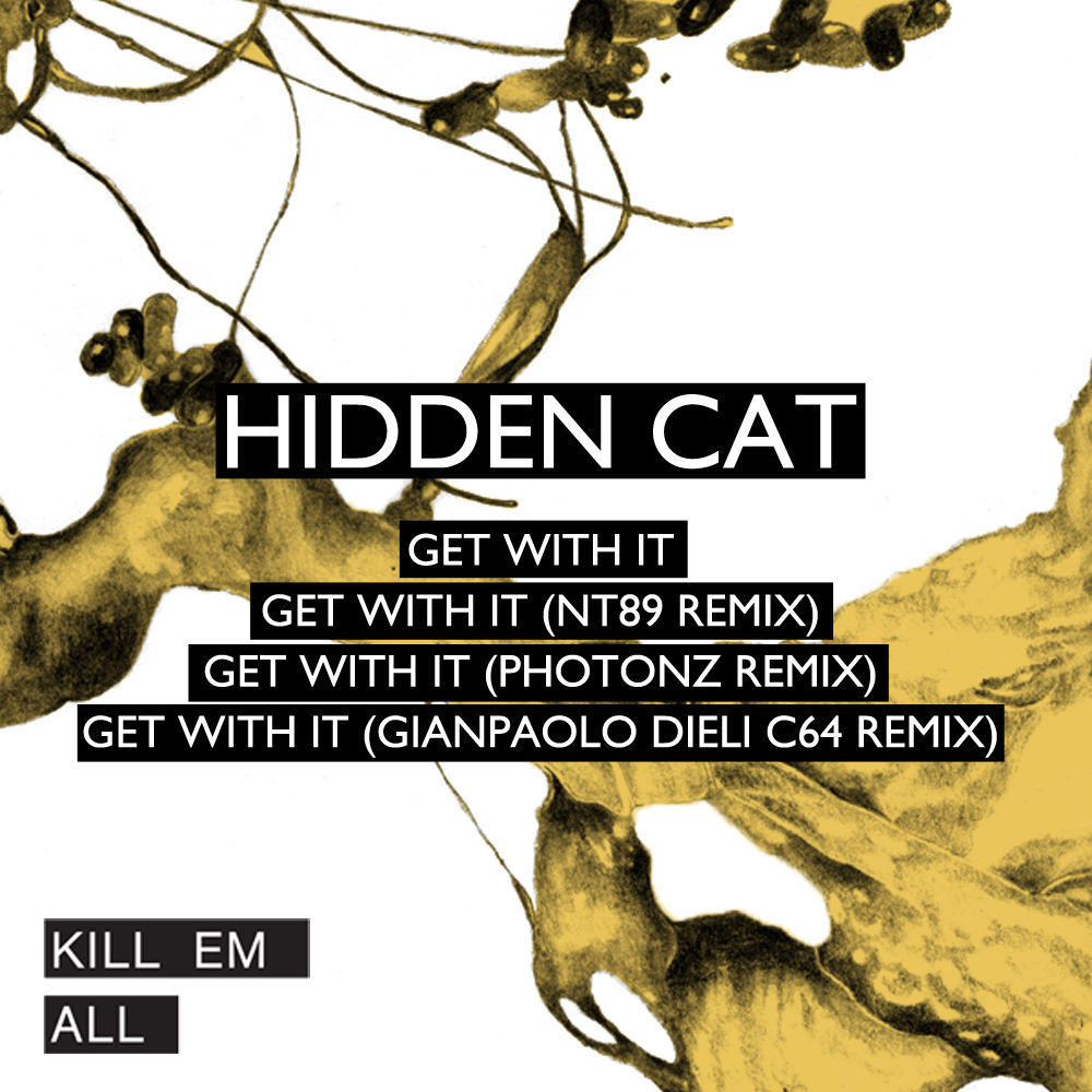 Hidden Cat